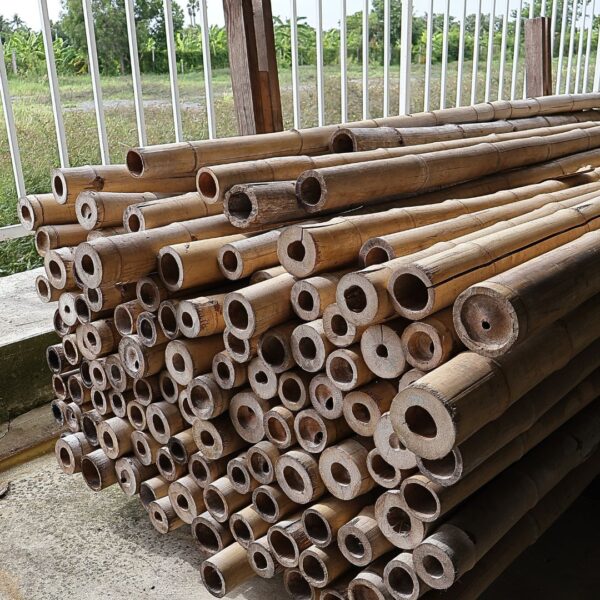 ไม้ไผ่อัดน้ำยา ไผ่เลี้ยง ไผ่รวก BamBoo - Image 5