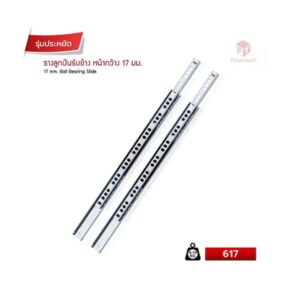Futuretech รางลูกปืนรับข้าง 17 mm รับนน. 8 -10 กก.
