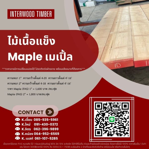 ไม้เนื้อแข็ง ไม้เมเปิ้ล Maple (Acer saccharum) - Image 5