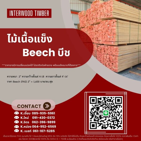 ไม้เนื้อแข็ง ไม้บีช Beech - Image 4