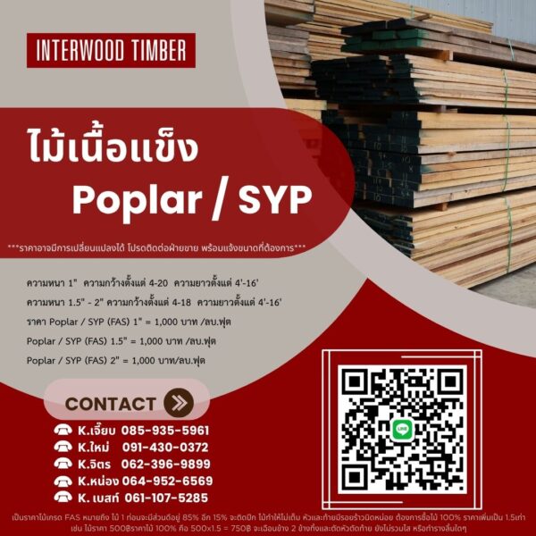 ไม้เนื้อแข็ง ไม้ปอปลาร์ Poplar / SYP (Southern Yellow Pine) - Image 3