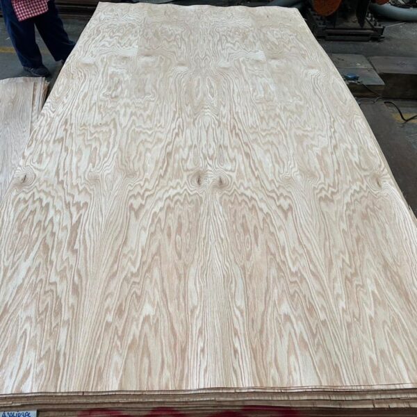 Red Oak (Rotary)