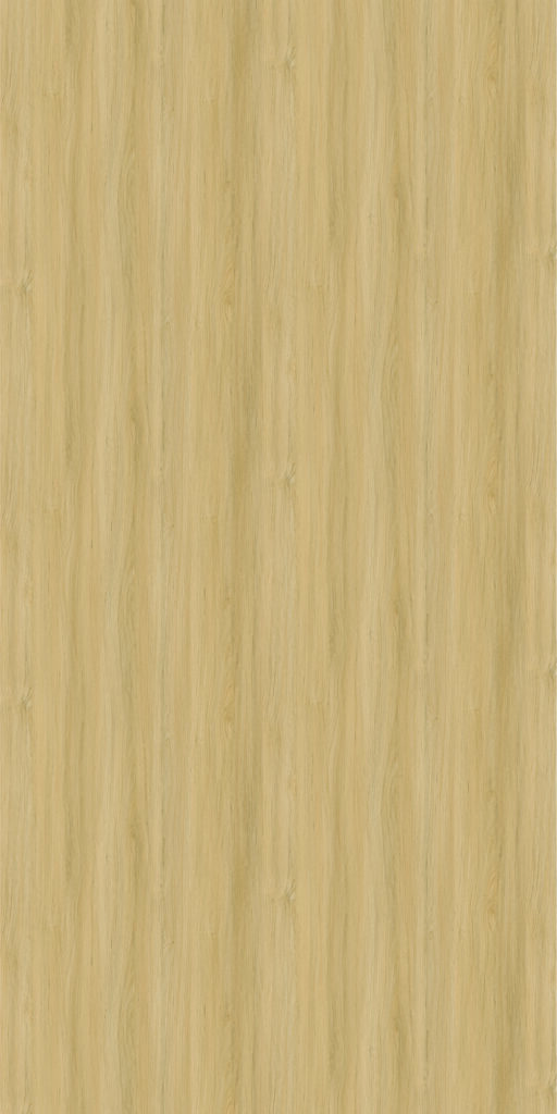 PL 5002 BW