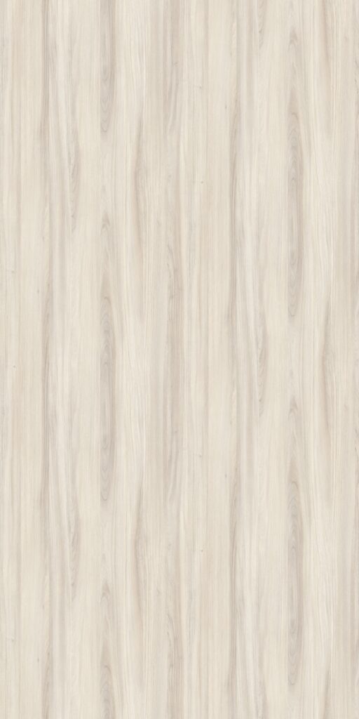 PL 5411 BW