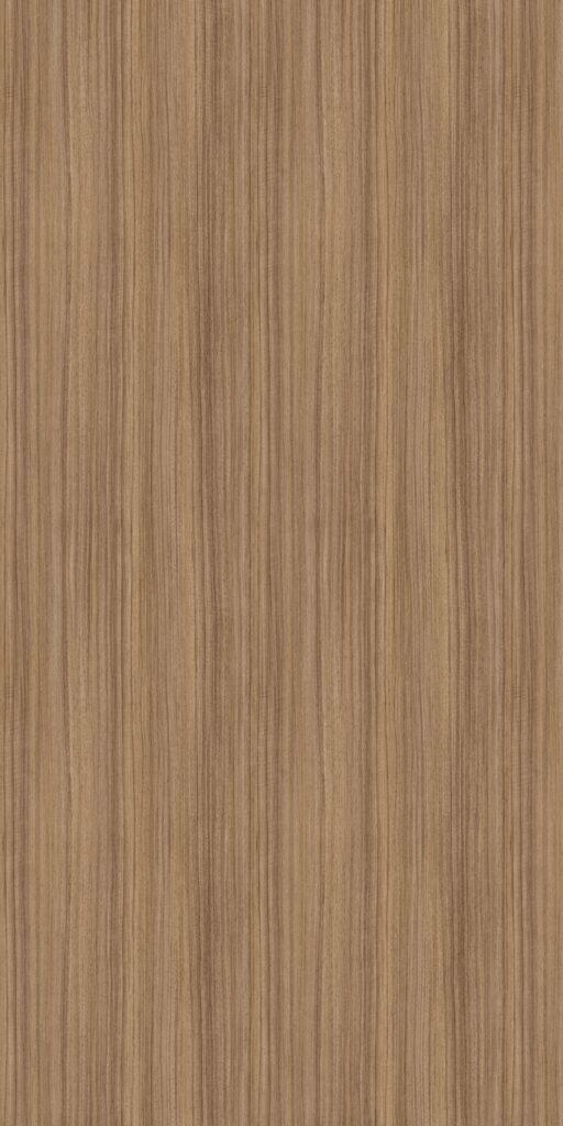 PL 5419 BW