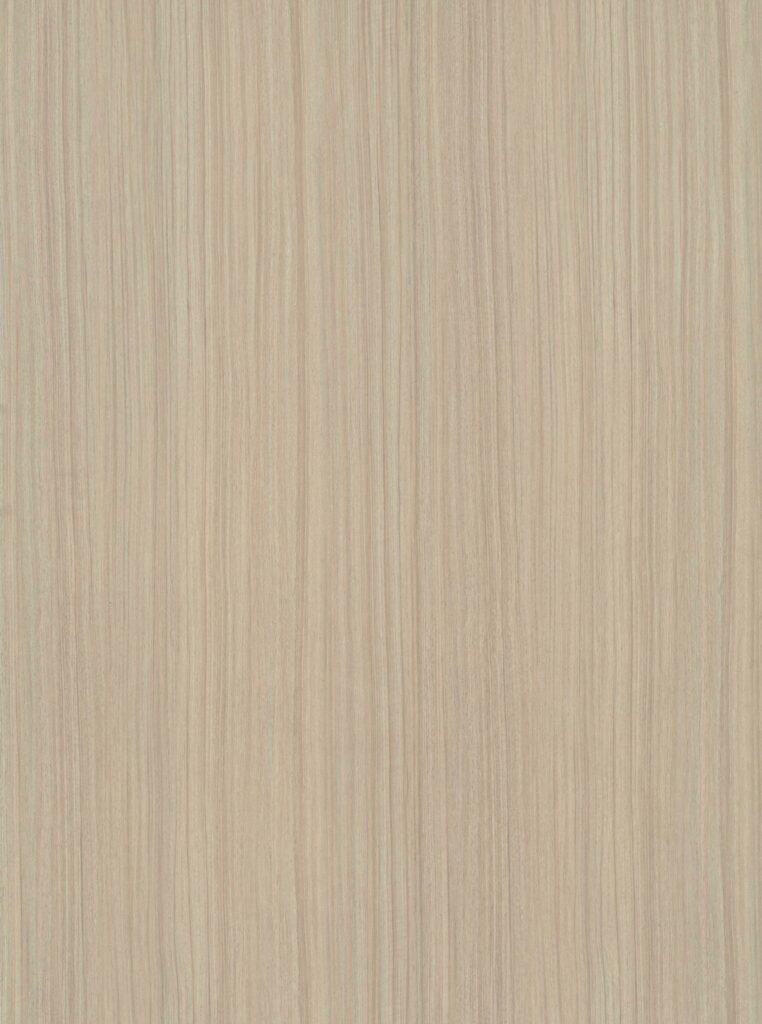 PL 6113 BW