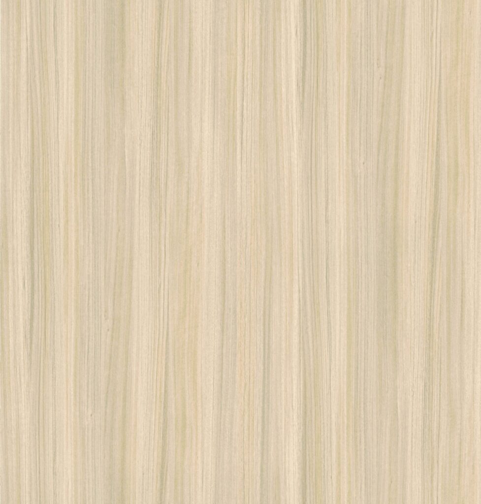 PL 6301 BW