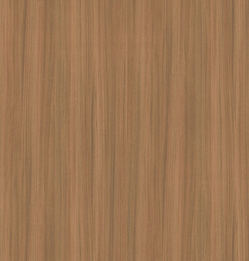 PL 6303 BW