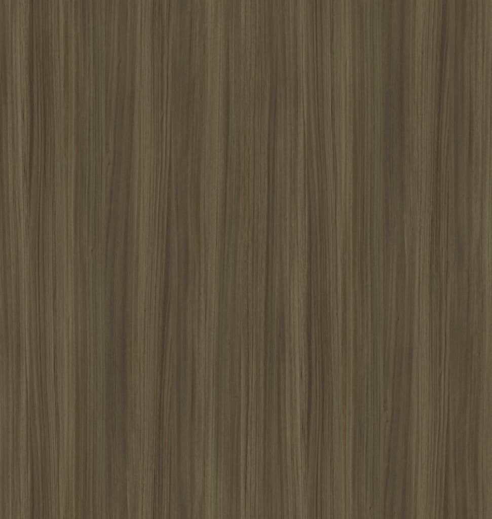 PL 6305 BW