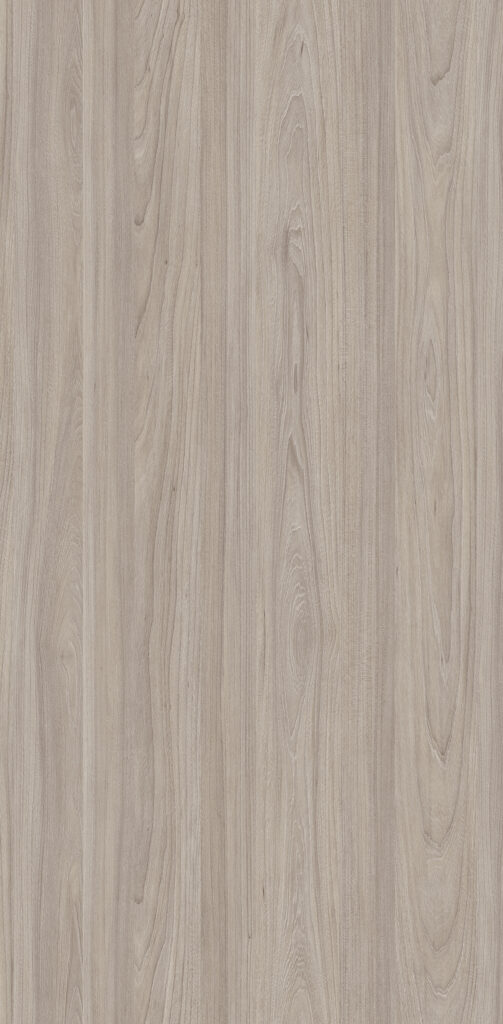 Panel PL 4041 BW Swiss Elm Champagne