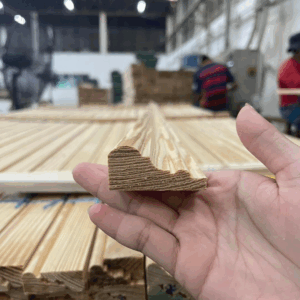 คิ้วไม้สน USA คิ้ว P5