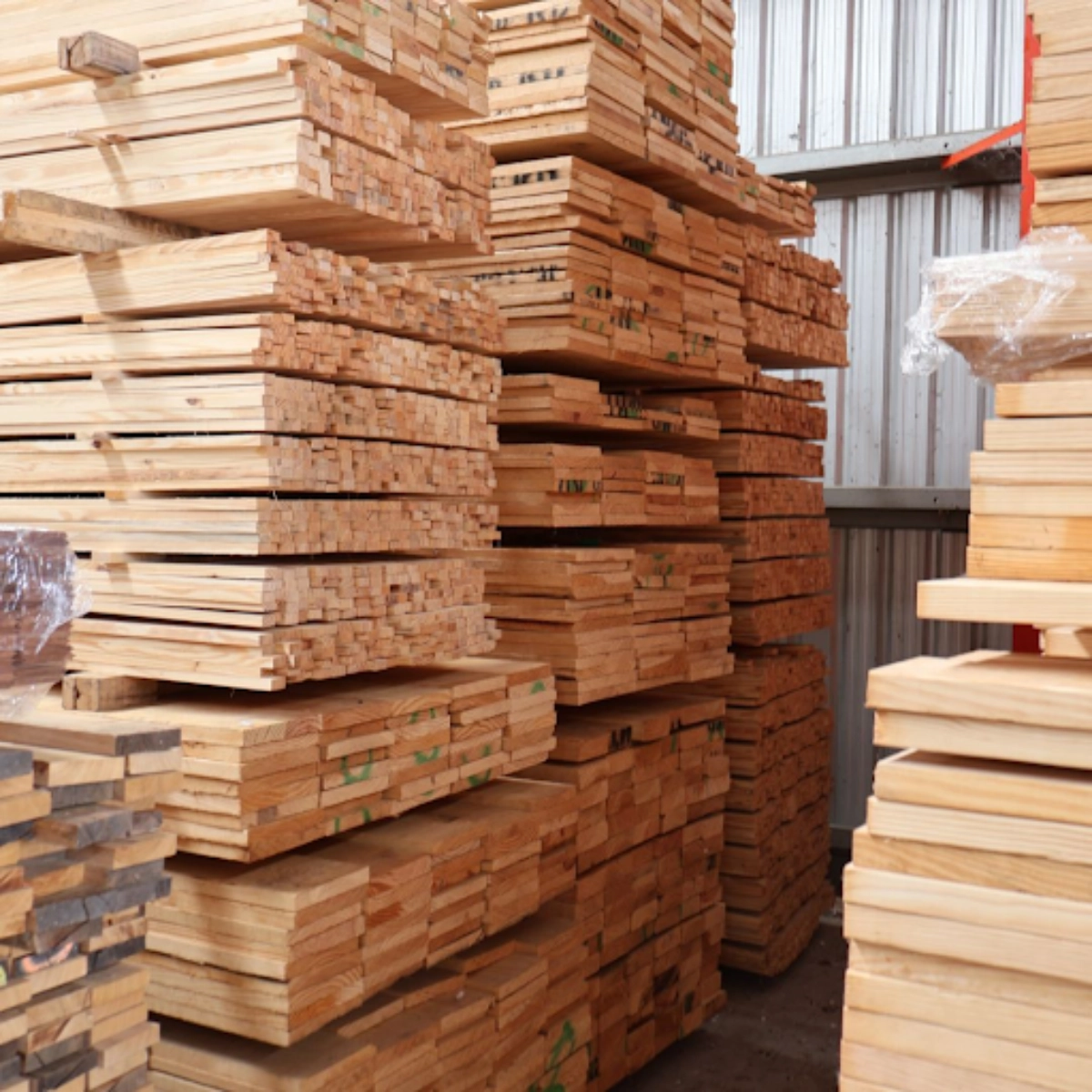 ไม้สนอเมริกา