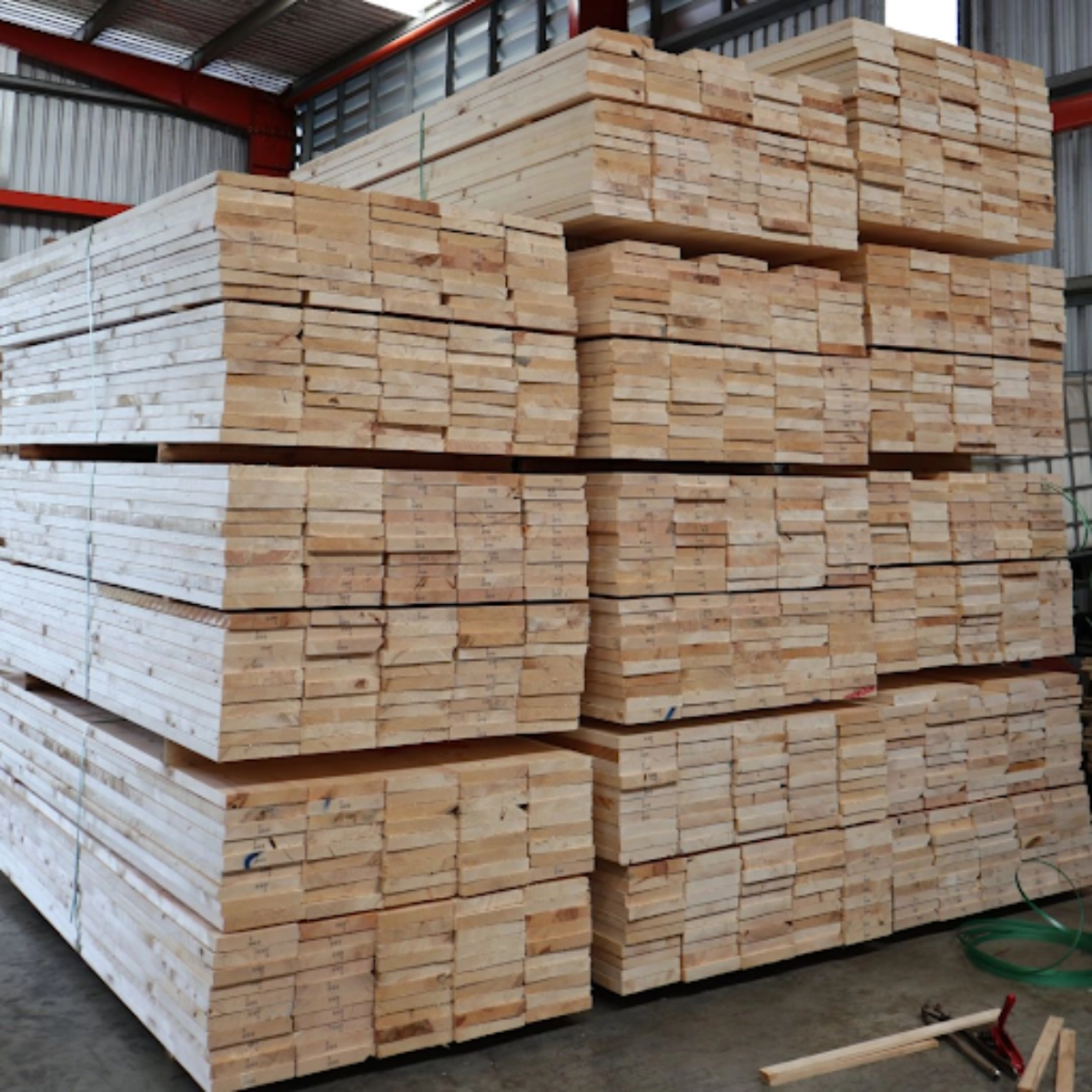 ไม้สนฟินแลนด์