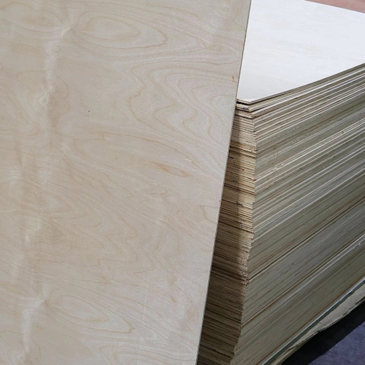 ไม้เบิร์ช