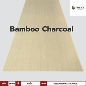 Bamboo Charcoal รหัส 5B-06 สีเมเปิ้ล