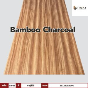 Bamboo Charcoal รหัส 5B-25 สีคาปูชิโน่