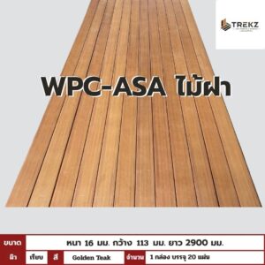 WPC-ASA PANEL (ภายนอก) ไม้ฝา ผิวเรียบ ลาย Golden Teak ขนาด 16mmx113mmx2900mm